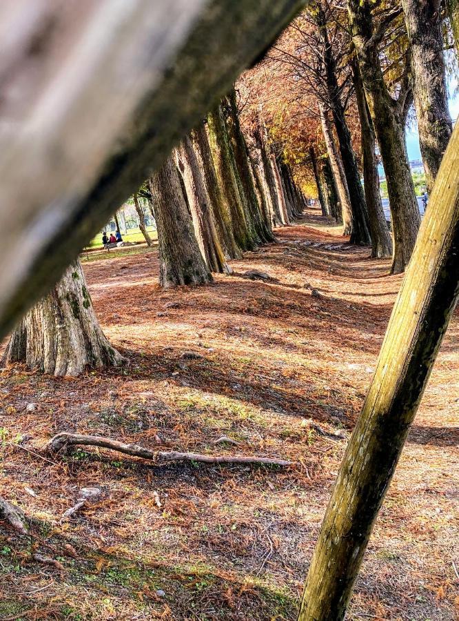 Shire Homestay Luodong Dış mekan fotoğraf